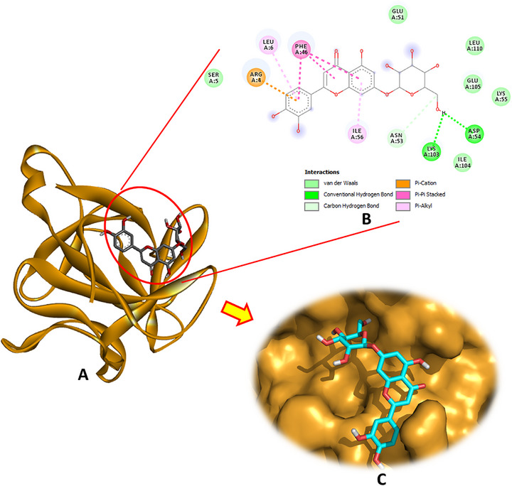 PMC12761346 – cbdv70650-fig-0004