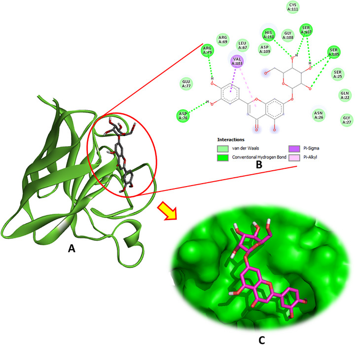 PMC12761346 – cbdv70650-fig-0003