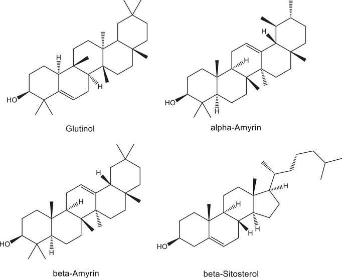 PMC12802818 – cbdv70824-fig-0001