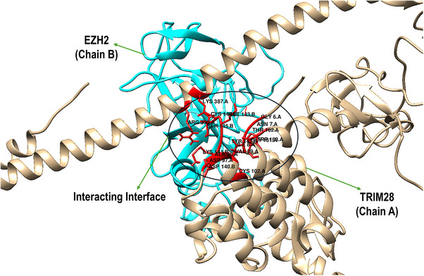 PMC12781155 – cbdv70815-fig-0002