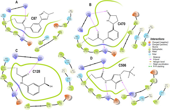 PMC12781155 – cbdv70815-fig-0003