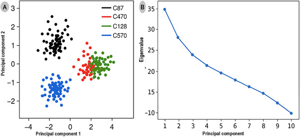 PMC12781155 – cbdv70815-fig-0005