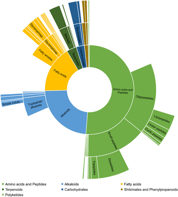 PMC12781163 – cbdv70822-fig-0005