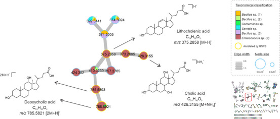 PMC12781163 – cbdv70822-fig-0004