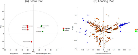 PMC12781163 – cbdv70822-fig-0007
