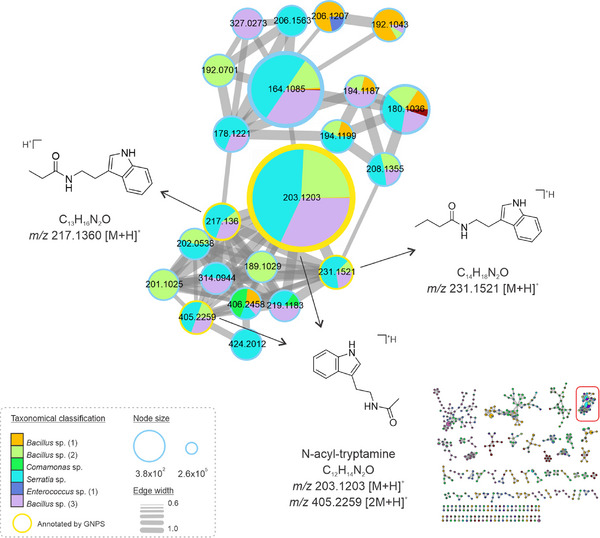 PMC12781163 – cbdv70822-fig-0003