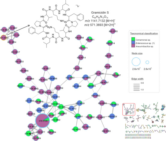 PMC12781163 – cbdv70822-fig-0002