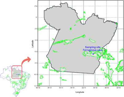 PMC12781163 – cbdv70822-fig-0008
