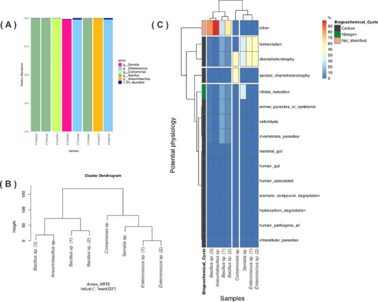 PMC12781163 – cbdv70822-fig-0001