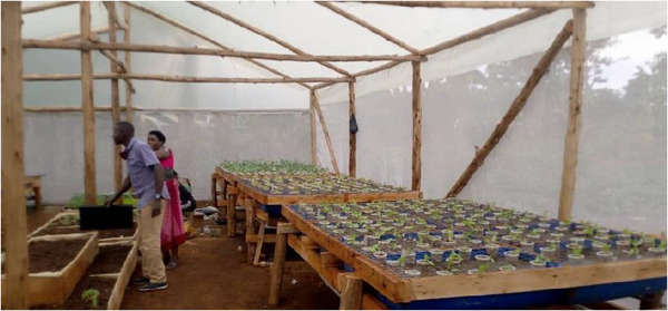 PMC12811819 – cbdv70863-fig-0005