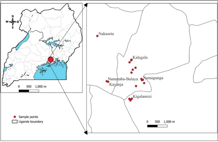PMC12811819 – cbdv70863-fig-0004