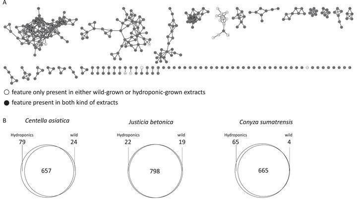PMC12811819 – cbdv70863-fig-0003