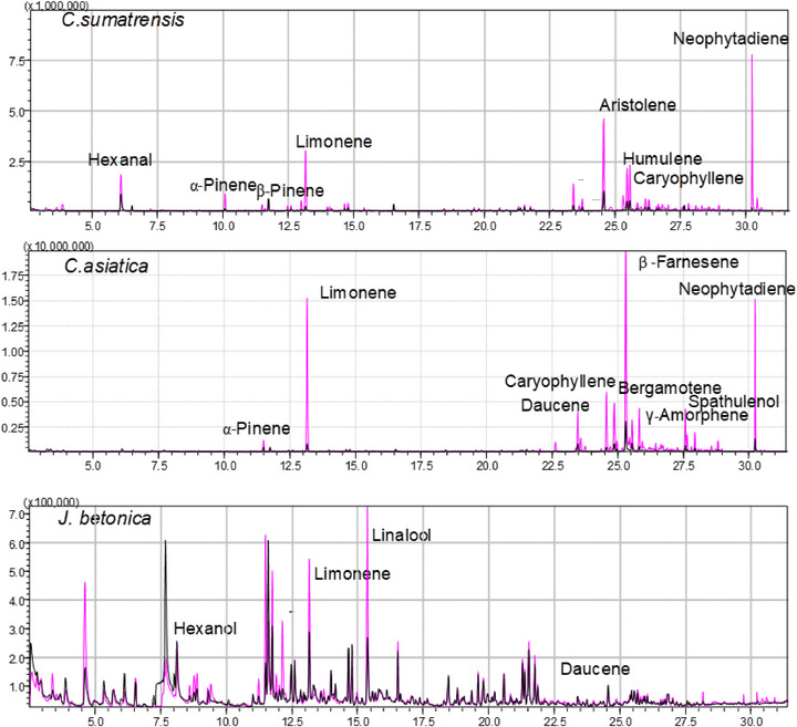 PMC12811819 – cbdv70863-fig-0002