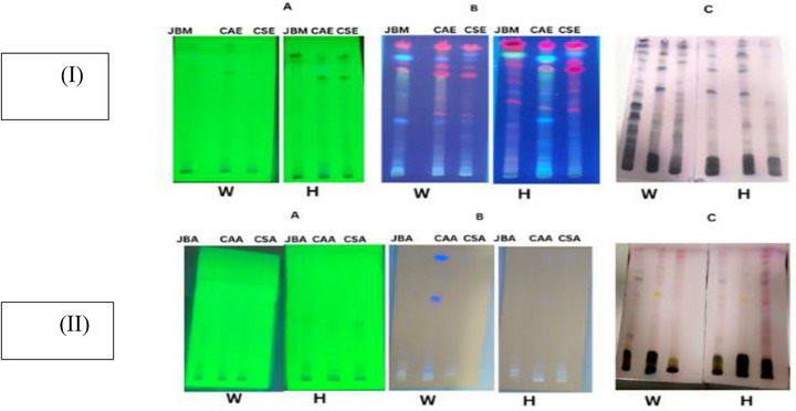 PMC12811819 – cbdv70863-fig-0001