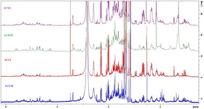 PMC12774863 – cbdv70840-fig-0001