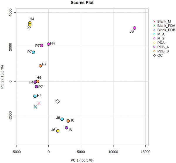 PMC12790416 – cbdv70812-fig-0002