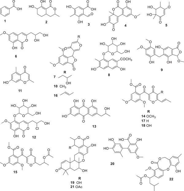 PMC12790416 – cbdv70812-fig-0003