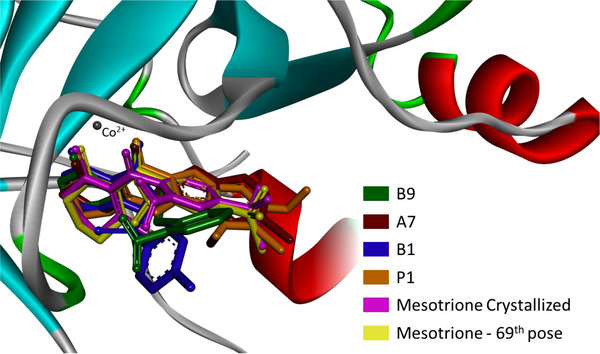 PMC12761364 – cbdv70695-fig-0004