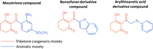 PMC12761364 – cbdv70695-fig-0001