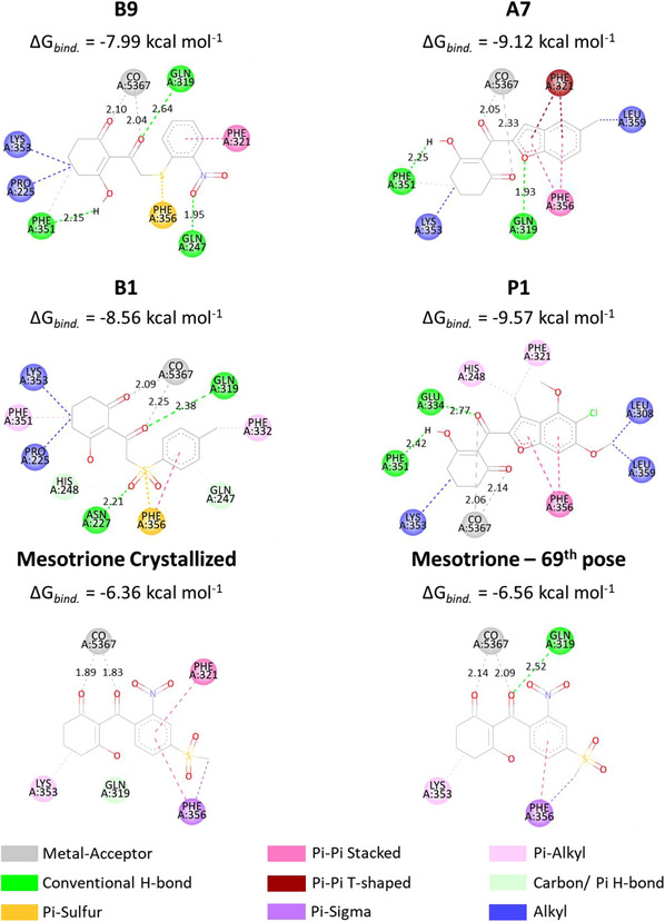 PMC12761364 – cbdv70695-fig-0005