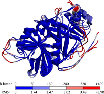 PMC12761364 – cbdv70695-fig-0009