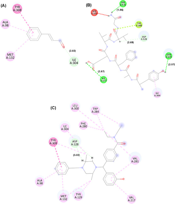 PMC13112334 – cbdv71255-fig-0003