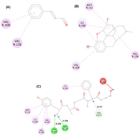 PMC13112334 – cbdv71255-fig-0002