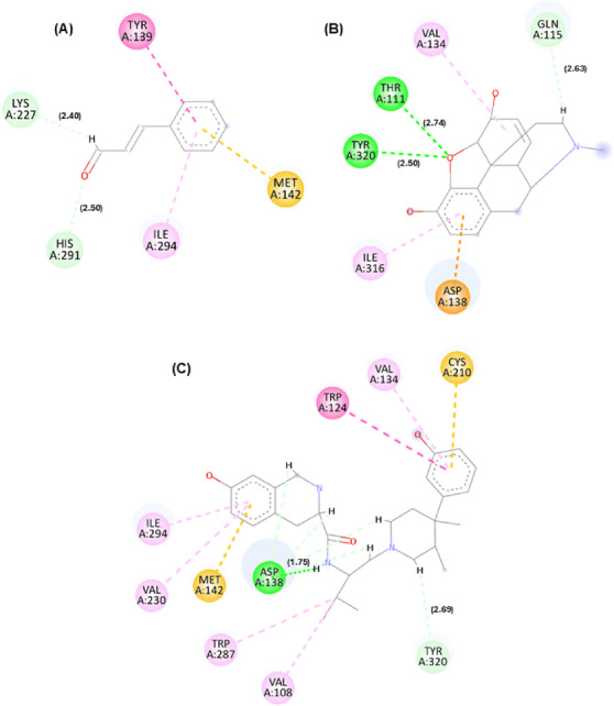 PMC13112334 – cbdv71255-fig-0001