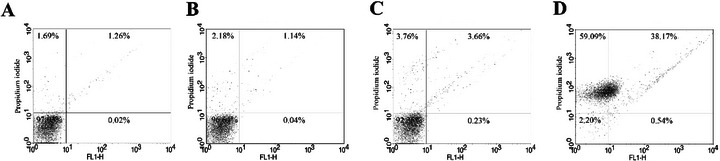 PMC12790417 – cbdv70881-fig-0007