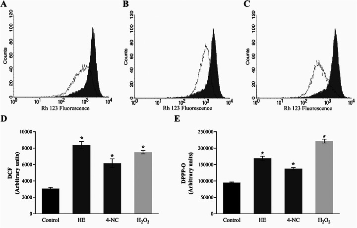 PMC12790417 – cbdv70881-fig-0004