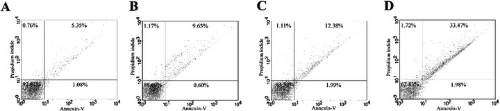 PMC12790417 – cbdv70881-fig-0005