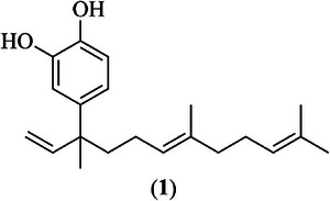 PMC12790417 – cbdv70881-fig-0001
