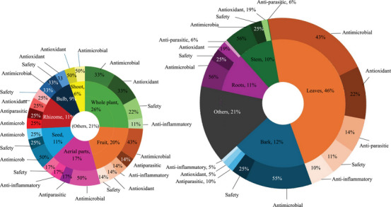 PMC13090005 – cbdv71121-fig-0005