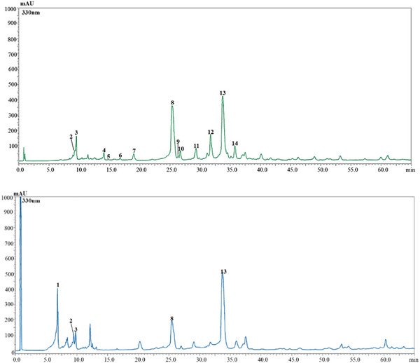 PMC12885525 – cbdv70967-fig-0001
