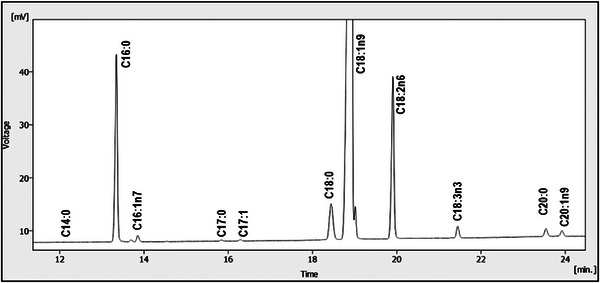 PMC13112324 – cbdv71256-fig-0001