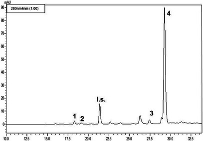 PMC13112324 – cbdv71256-fig-0002