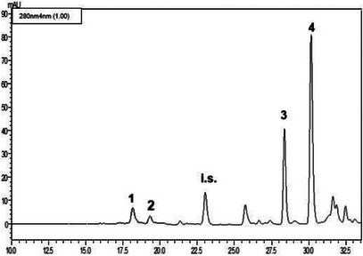 PMC13112324 – cbdv71256-fig-0003