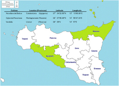 PMC13112324 – cbdv71256-fig-0005