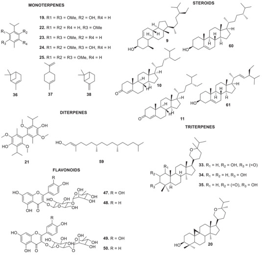 PMC12774707 – cbdv70854-fig-0003