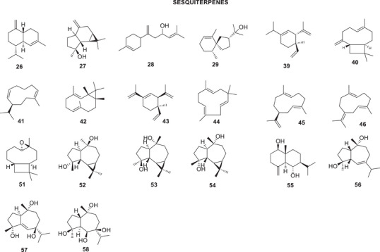 PMC12774707 – cbdv70854-fig-0004