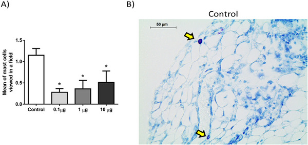 PMC12781153 – cbdv70830-fig-0005