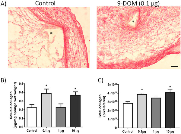 PMC12781153 – cbdv70830-fig-0007