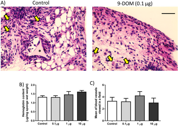 PMC12781153 – cbdv70830-fig-0006