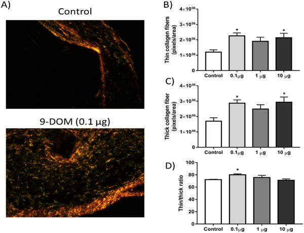 PMC12781153 – cbdv70830-fig-0008