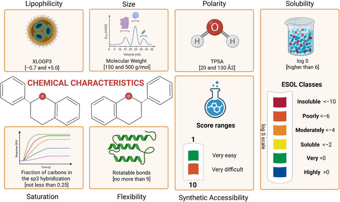 PMC12908931 – cbdv70979-fig-0007