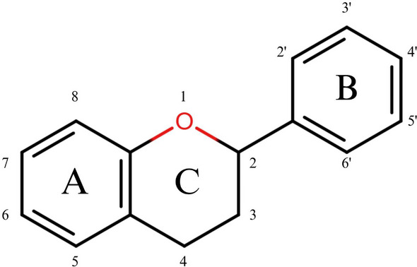 PMC12908931 – cbdv70979-fig-0001