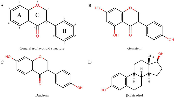 PMC12908931 – cbdv70979-fig-0003