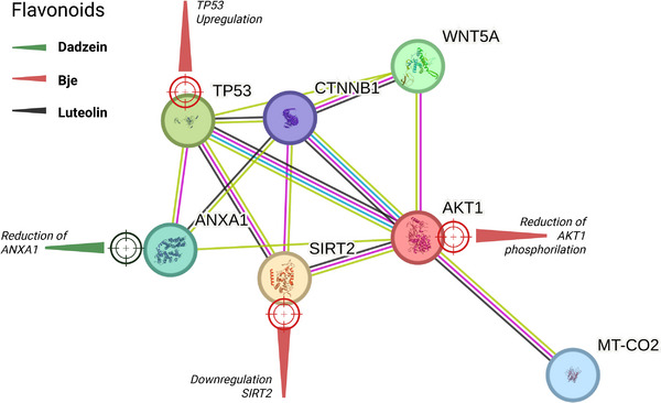 PMC12908931 – cbdv70979-fig-0002