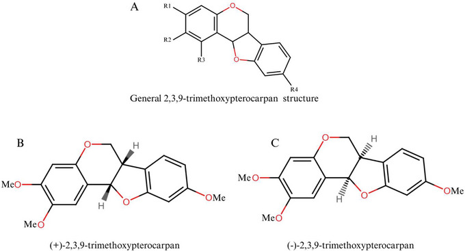 PMC12908931 – cbdv70979-fig-0005