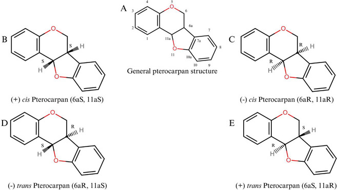 PMC12908931 – cbdv70979-fig-0004